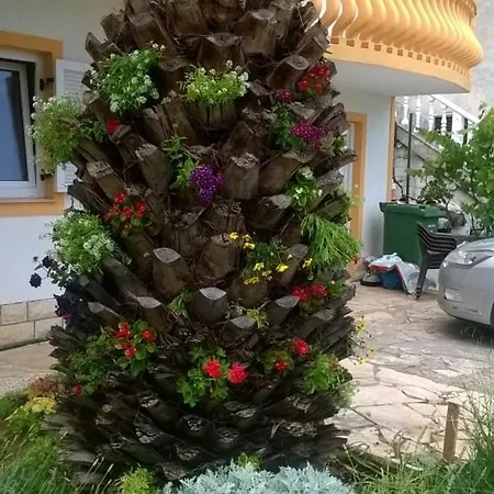 Апартаменты Big Terrace *
